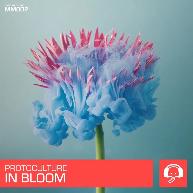 In Bloom cover artwork
