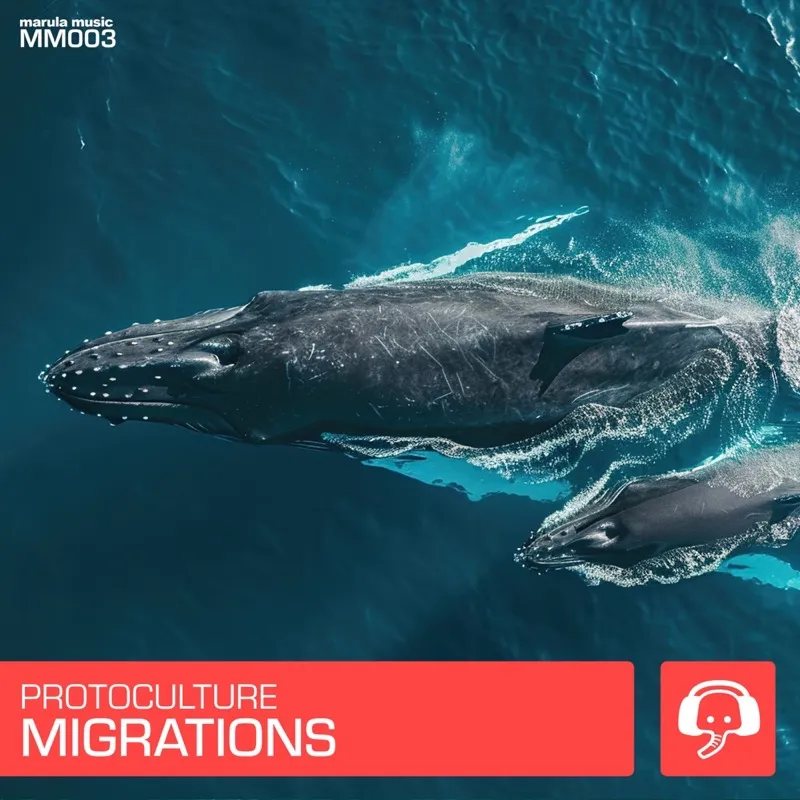 Migrations cover artwork