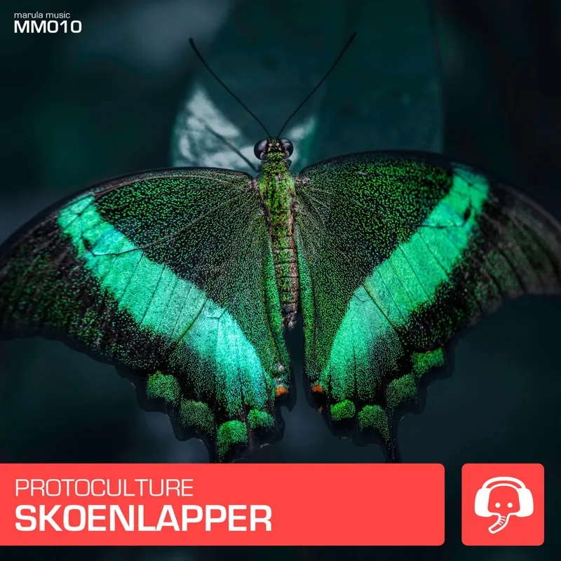 Skoenlapper cover artwork