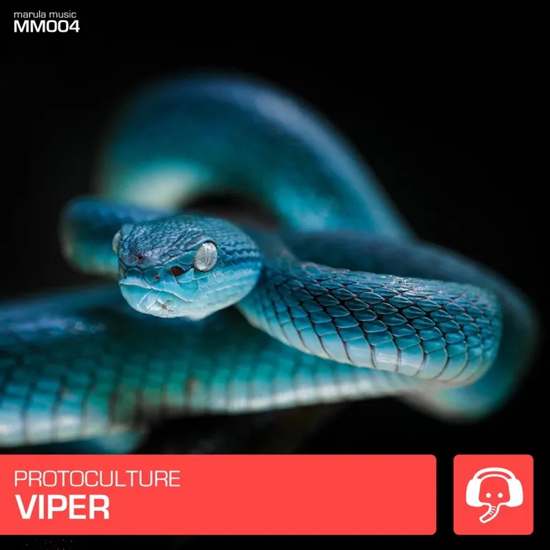 Viper cover artwork